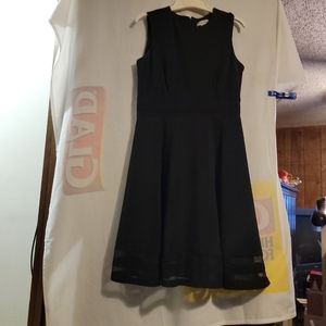 Calvin Klein Black Sleeveless Stretch Fit & Flare Sheer Bottom Dress Size 6